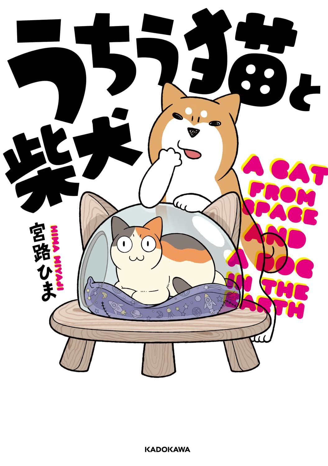柴猫様 715+ky0q+0L.jpg